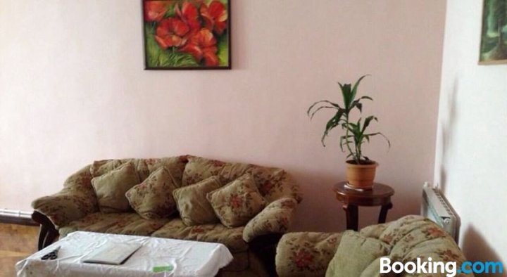 Spacious Flat on Amiryan STR