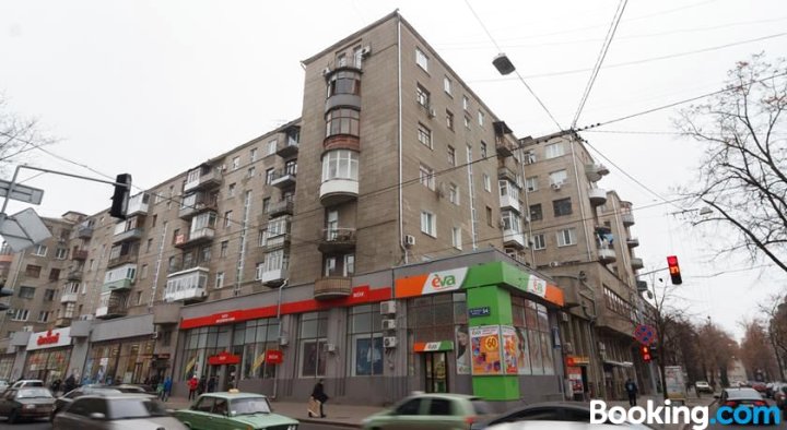 Elite-Class Apartment on Pushkinskaya
