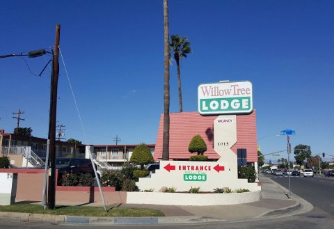柳树汽车旅馆(Willow Tree Lodge)