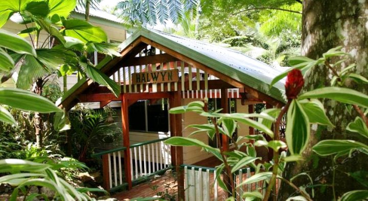 戴因树秘密雨林保护区酒店(Daintree Secrets Rainforest Sanctuary)