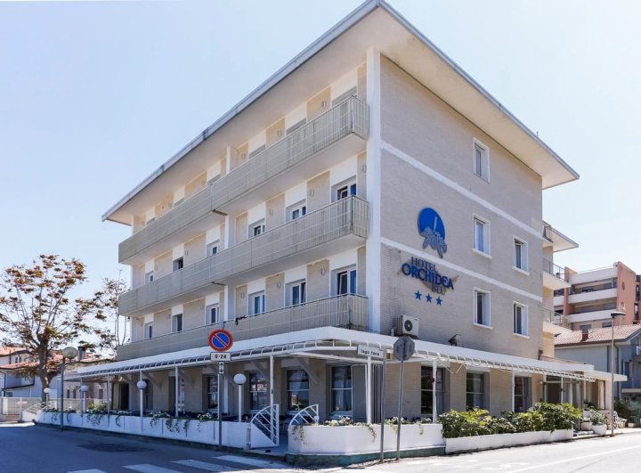 奥奇迪亚布鲁酒店(Hotel Orchidea Blu)