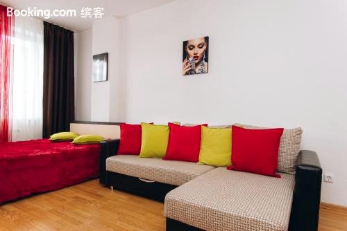 索莎109号公寓(Apartment on Shchorsa 109)