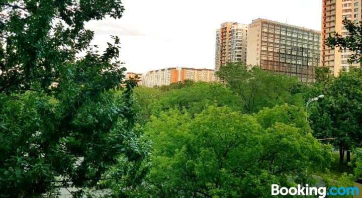 Apartment on Profsoyuznaya