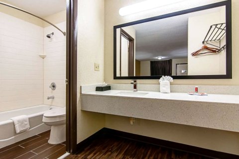 马修斯夏洛特伊克诺旅馆(Econo Lodge Inn & Suites Matthews - Charlotte)