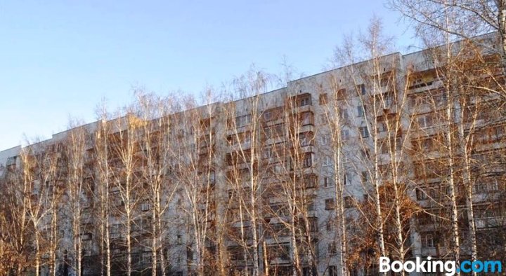 Apartments Moskovskaia 225|1