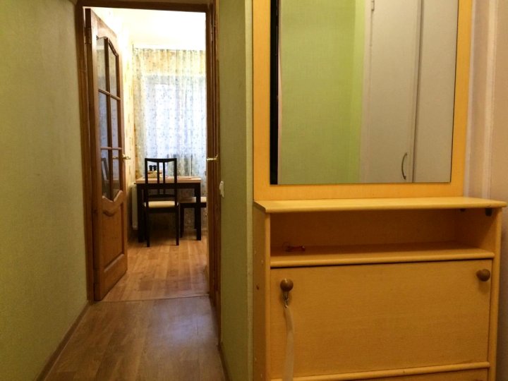 内夫斯卡亚公寓(Apartment on Nevskaya)
