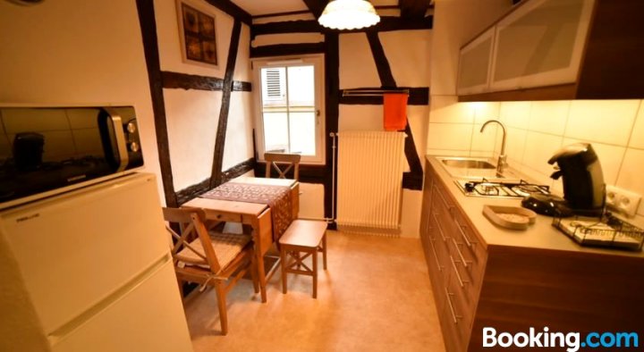 Appartement Lumineux Niché Au Centre de Colmar