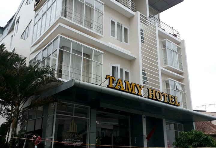 塔米酒店(Tamy Hotel)