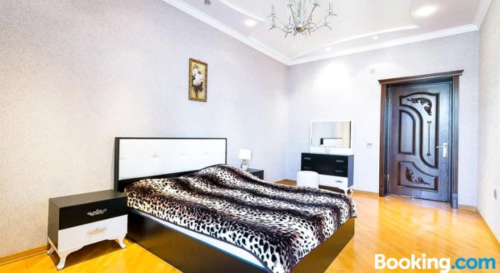 Apartment in Baku City Centre