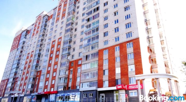 克拉斯诺阿姆梅斯卡亚12号公寓(Apartment on Krasnoarmeyskaya 12)