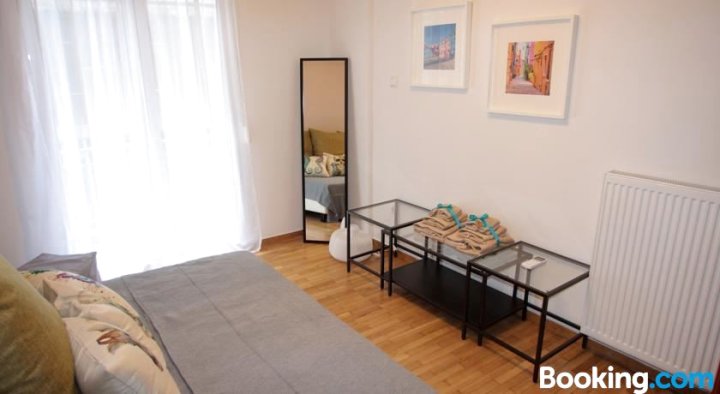 Amazing Renovated 3 Bedroom Flat in Central Athens