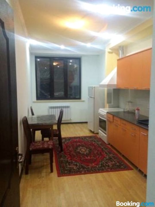 Apartment on Panfilova