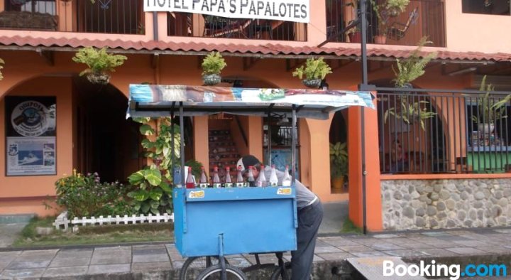 Hotel Papa's Papalotes