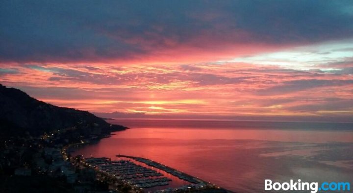 Les Citronniers d'Azur