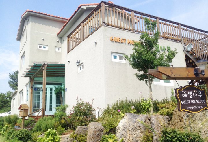 济州Eshel树民宿(Eshel Tree Guesthouse Jeju)