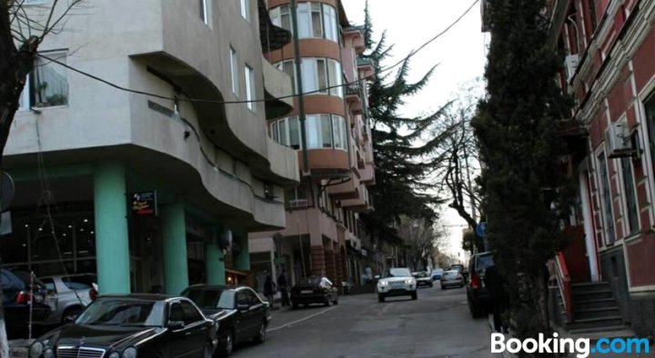 第比利斯中心舒适公寓(Cozy Appartment in The Centre of Tbilisi)