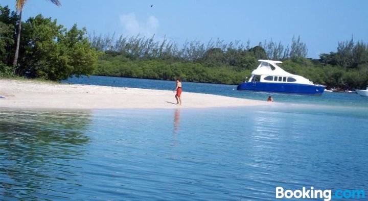 Buccoo Reef View