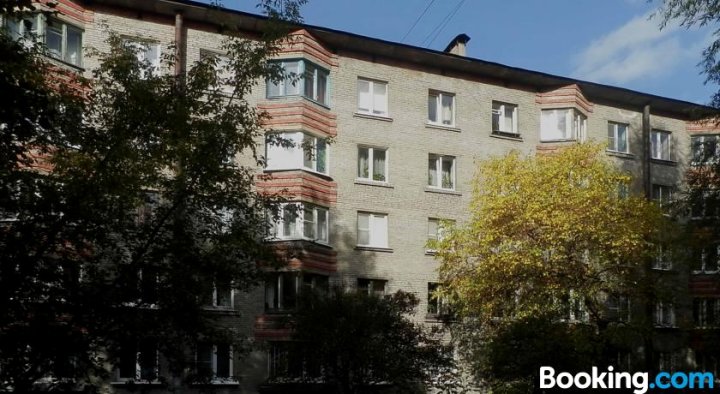 Apartment Elizarovskaia-Berggolts