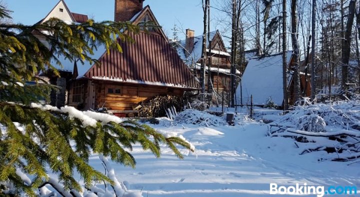 Domek Drewniany Tetmajera Centrum Zakopane