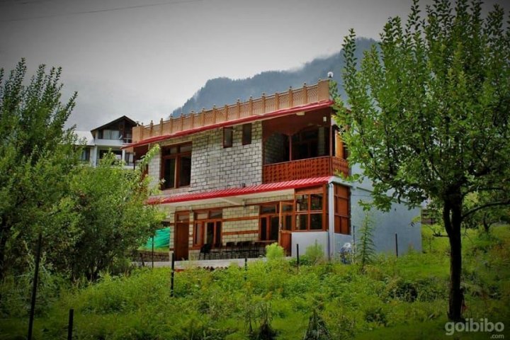 V Cottage Manali