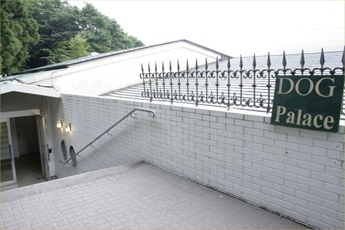 Dog Palace Resort Hakone