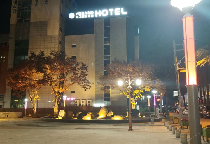 大邱新格兰德酒店(Daegu New Grand Hotel)