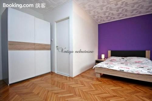 Maksimir- Rebro Apartment