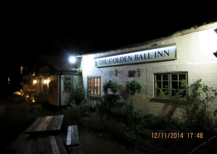 金球酒店(The Golden Ball Hotel)