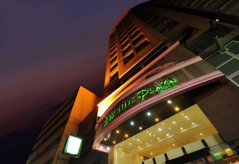 行政酒店(Executive Hotel)