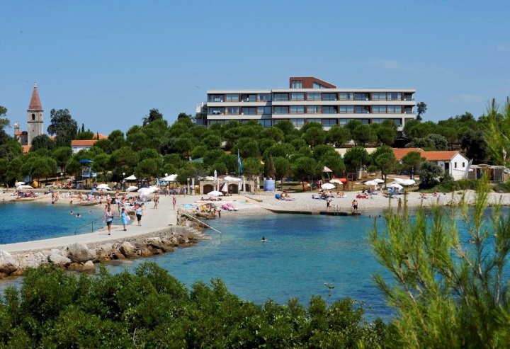 伊斯特拉全套房岛屿酒店(All Suite Island Hotel Istra)