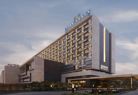 新德里利拉格调会议酒店(The Leela Ambience Convention Hotel Delhi)