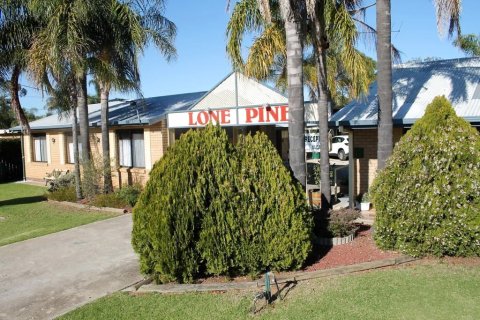 科罗瓦孤松汽车旅馆(Lone Pine Motel Corowa)
