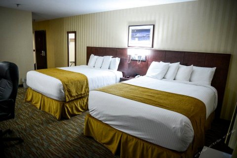 辛巴达斯套房酒店(Sinbads Hotel & Suites)