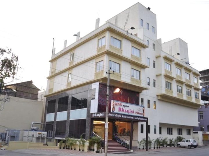 巴吉尼宫酒店(Hotel Bhagini Palace)