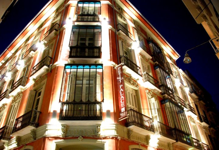 珀蒂宫广场马拉加酒店(Petit Palace Plaza Málaga)