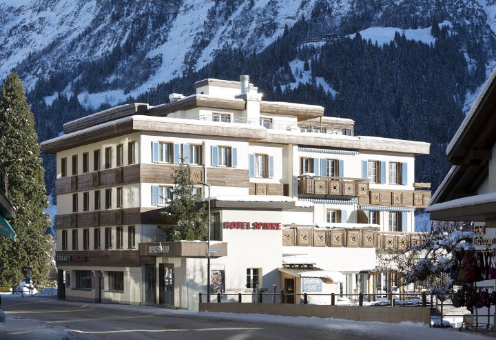 格林德瓦斯宾纳酒店(Hotel Spinne Grindelwald)