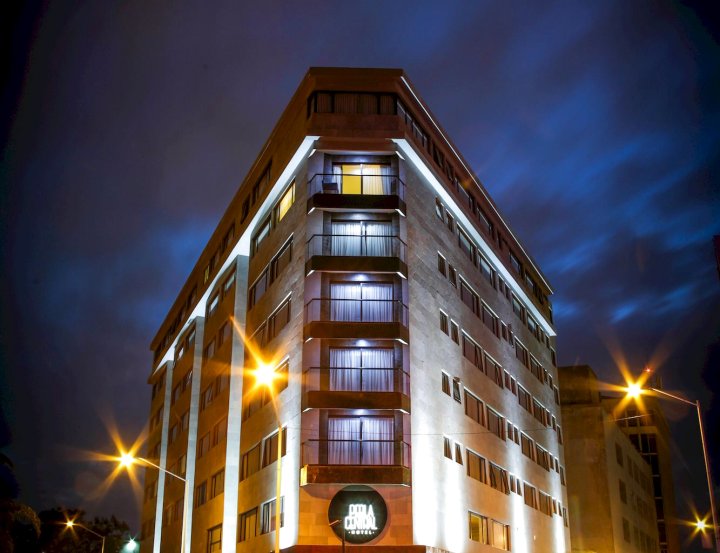 普尔拉中央酒店(Hotel Perla Central)