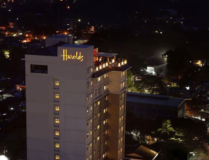 哈罗兹酒店(Harolds Hotel)
