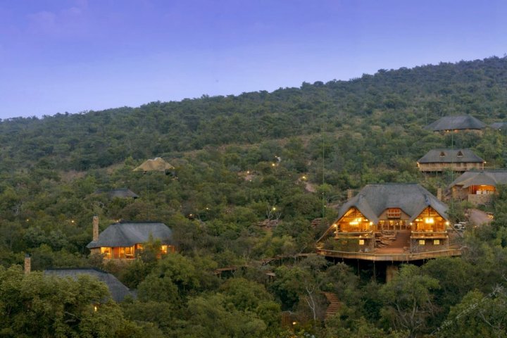 塞迪巴华丽野生动物园旅馆(Sediba Luxury Safari Lodge)