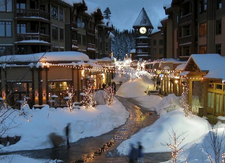 雪绒花旅馆(Edelweiss Lodge)