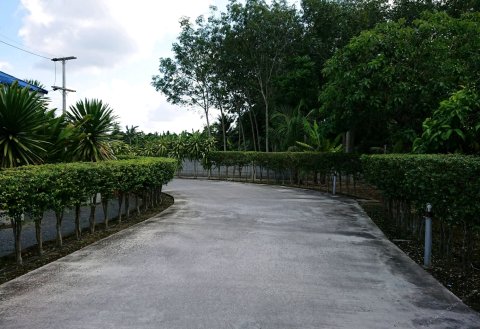 Jirayut度假村(Jirayut Resort)