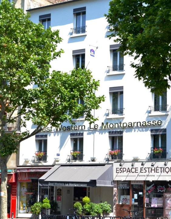 贝斯特韦斯特巴纳斯峰酒店(Best Western Hotel Le Montparnasse)