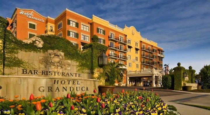 休斯敦大公爵酒店(Hotel Granduca Houston)