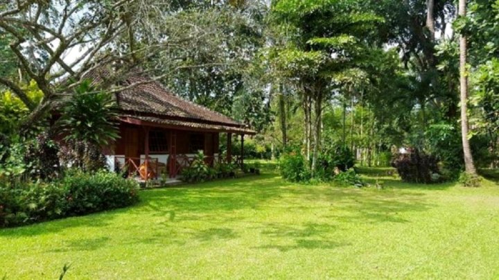 萨特沃大象生态酒店(Satwa Elephant Eco Lodge)
