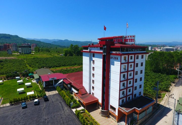 艾泽克大酒店(Grand Ayzek Hotel)