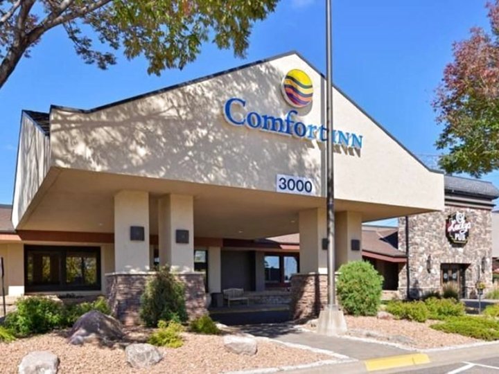 普利茅斯 - 明尼亚波利斯舒适酒店(Comfort Inn Plymouth-Minneapolis)