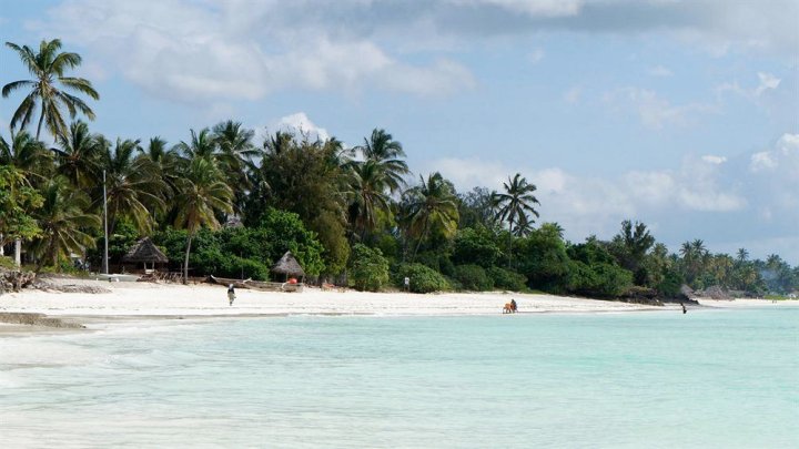 桑给巴尔艺术酒店(Art Hotel Zanzibar)