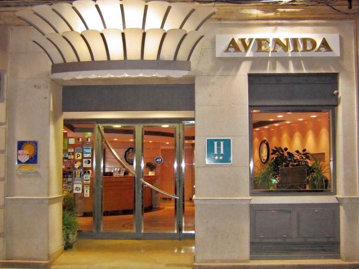 阿维尼达酒店(Hotel Avenida)