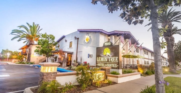 柠檬树酒店(The Lemon Tree Hotel)