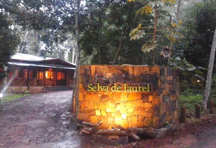 塞尔瓦德劳瑞尔酒店(Selva de Laurel)